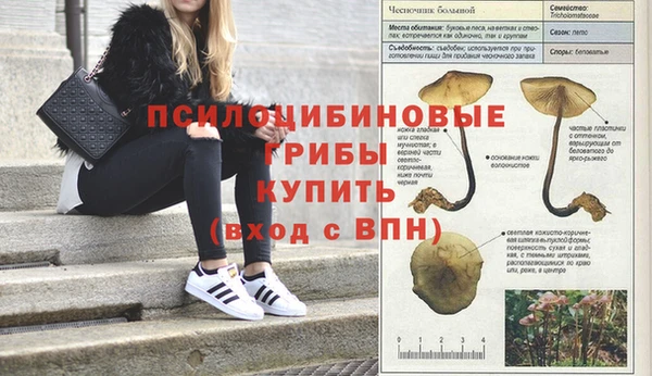 экстази Богданович