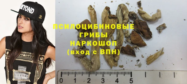 таблы Богородск