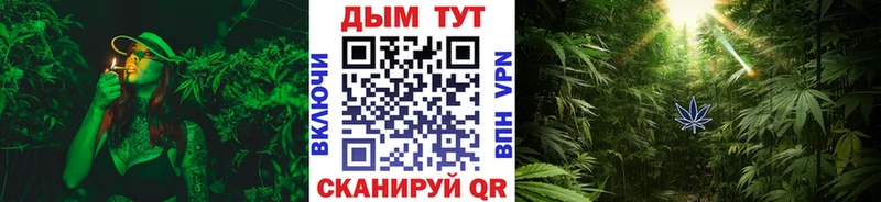 наркота  Мурманск  мега зеркало  Шишки марихуана тримм 